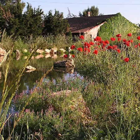 Aux Chants Des Grenouilles Βίλα Montpeyroux (Herault)