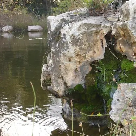 Aux Chants Des Grenouilles